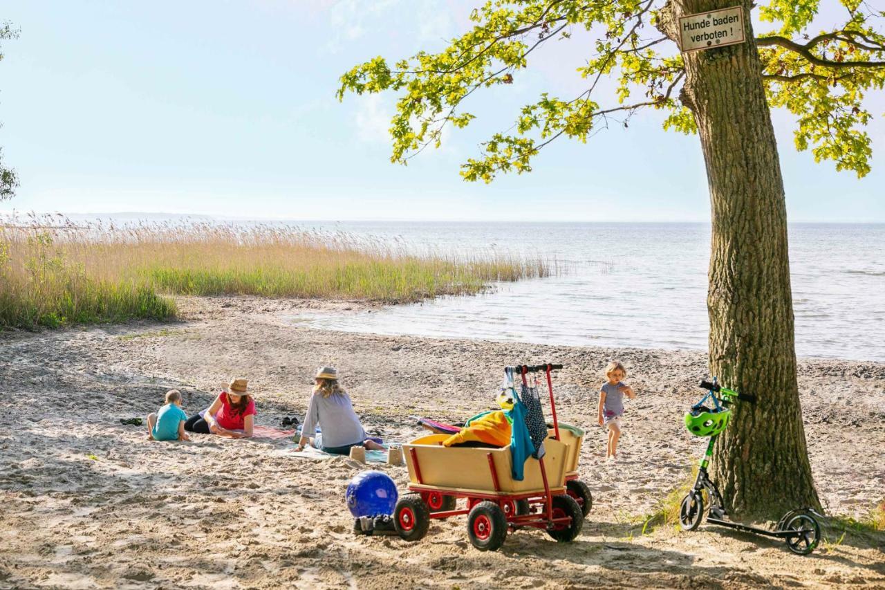 Mueritzparadies - Feriendorf Alte Fahrt Рехлін Екстер'єр фото