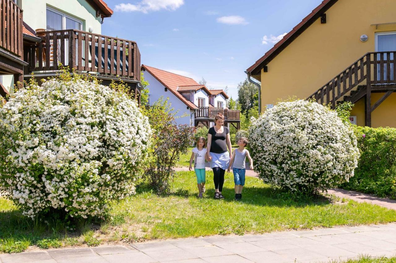 Mueritzparadies - Feriendorf Alte Fahrt Рехлін Екстер'єр фото